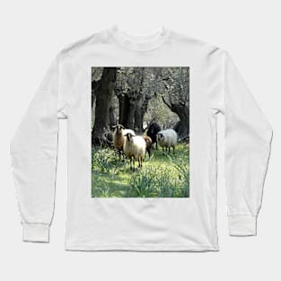 Five-fold Long Sleeve T-Shirt